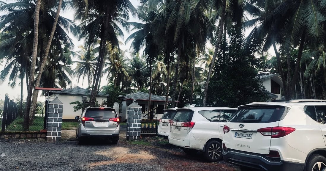 Guest vehicles parked neatly under coconut palms at the homestay entrance